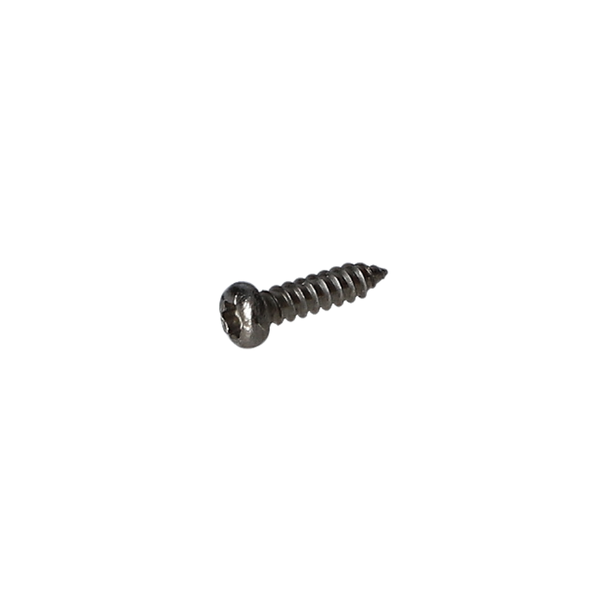 Sac Vidasi (Tapping Screw) (1618C01473)