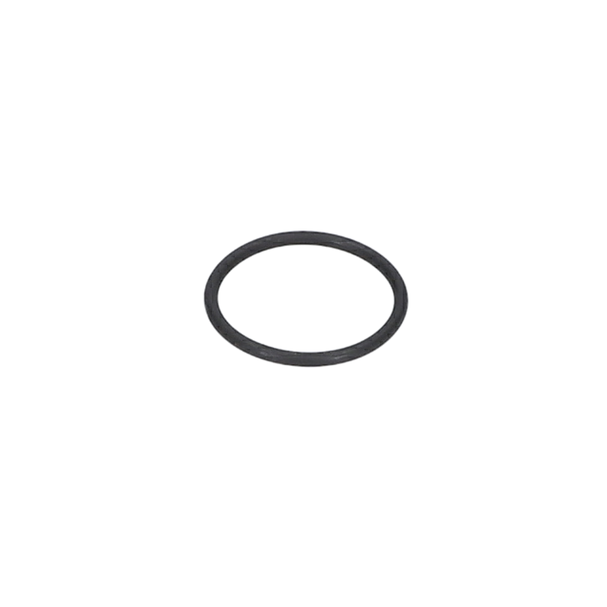 O Ring (O-Ring) (3600210131)