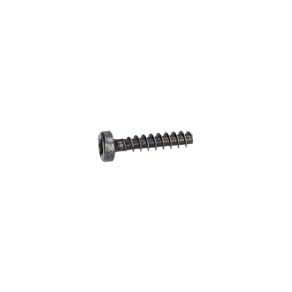 Torx Mercimek Başli Vida (Torx Oval-Head Screw) (1619P00105)
