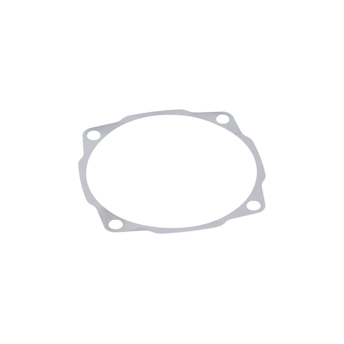 Dengeleme Pulu (Shim) (1600136013)