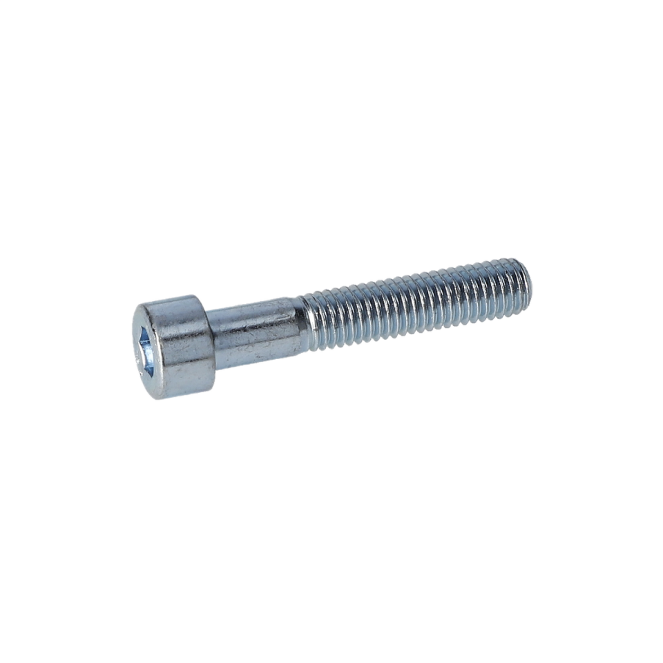 Vida (Screw) (F016L72126)