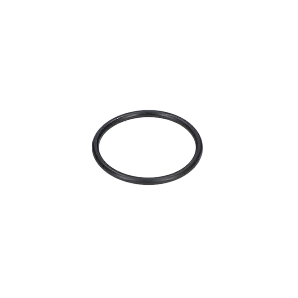 O Ring (O-Ring) (F016L72131)