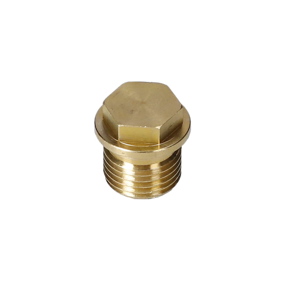 Tapa (Plug) (F016L72138)