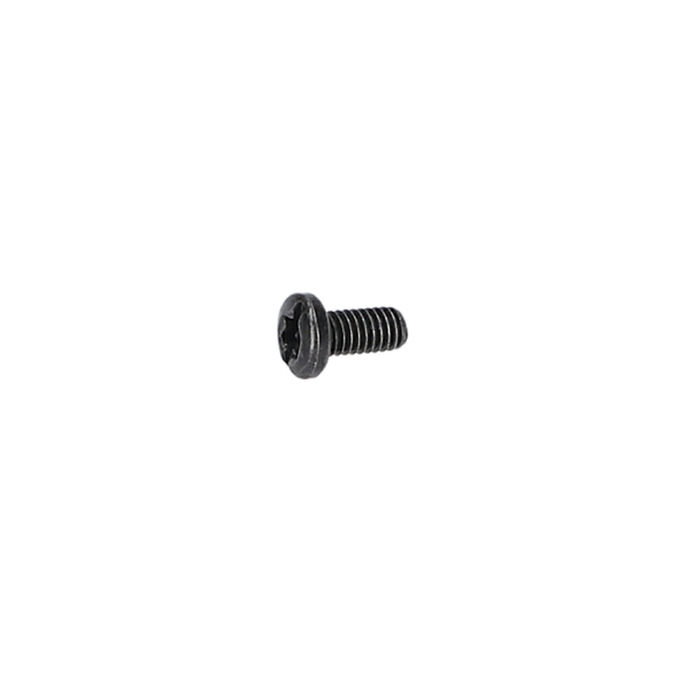 Mercimek Vida (Oval-Head Screw) (2603413035)