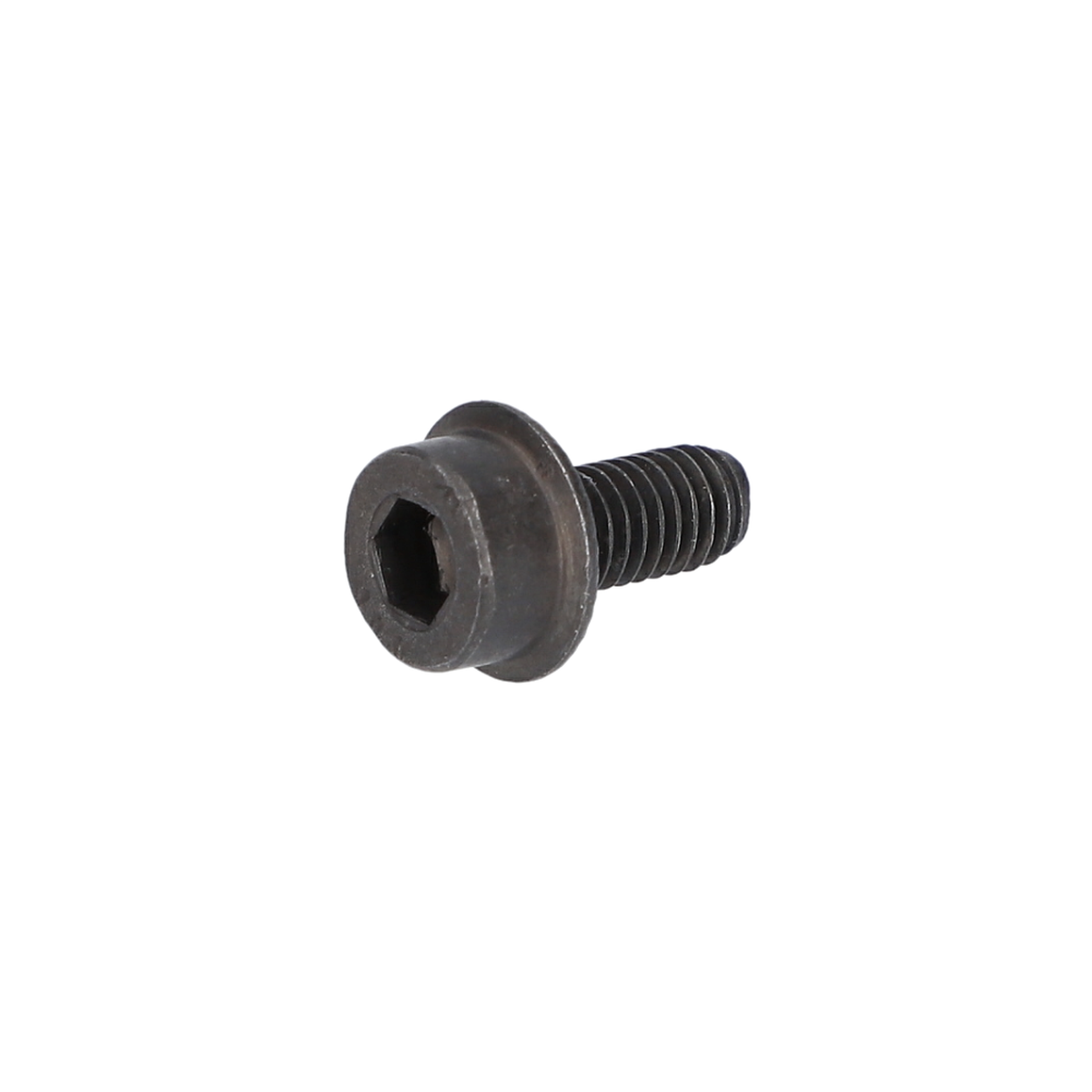 Alen Vida (Hex Socket Head Cap Screw) (3603386041)