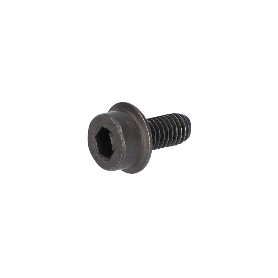 Alen Vida (Hex Socket Head Cap Screw) (3603386041)