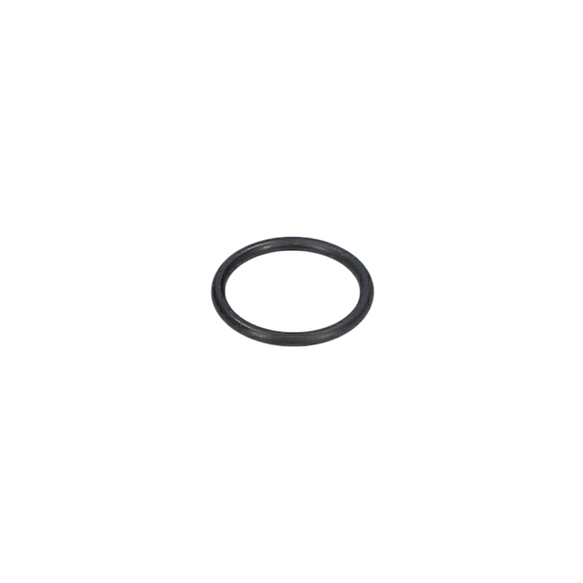 O Ring (O-Ring) (1900210115)