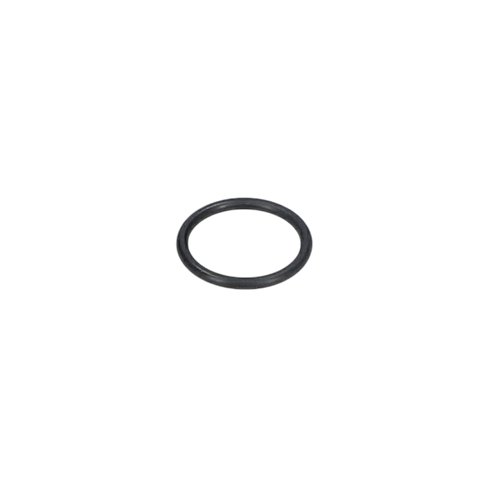 O Ring (O-Ring) (1900210115)