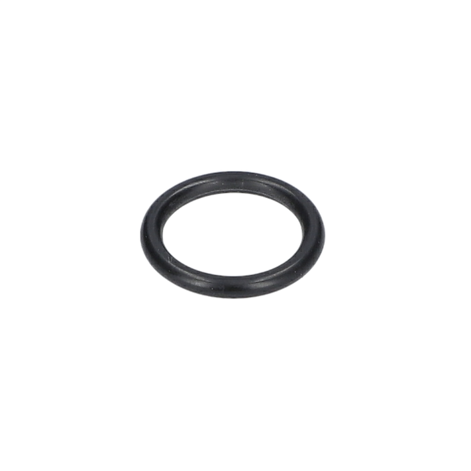 O Ring (O-Ring) (1900210117)