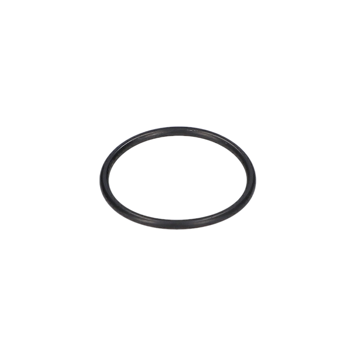 O Ring (O-Ring) (1900210127)