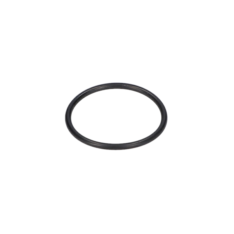 O Ring (O-Ring) (1900210127)