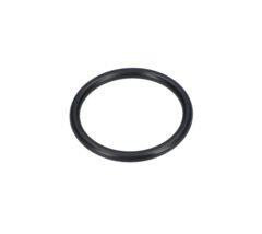 O Ring (O-Ring) (1900210129)