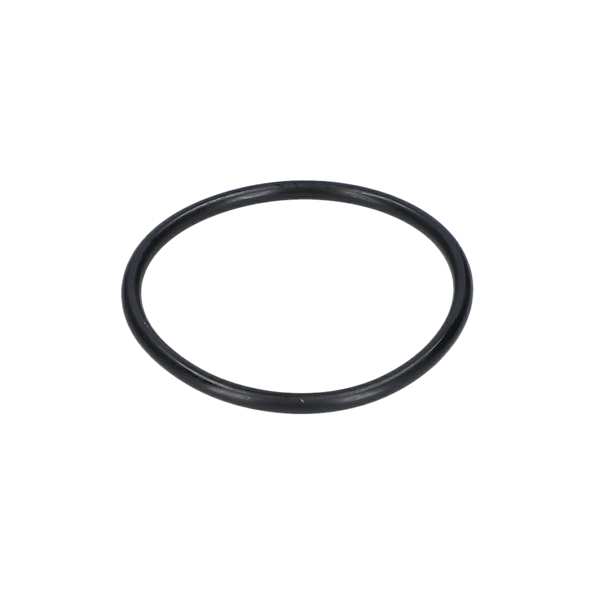 O Ring (O-Ring) (1900210156)