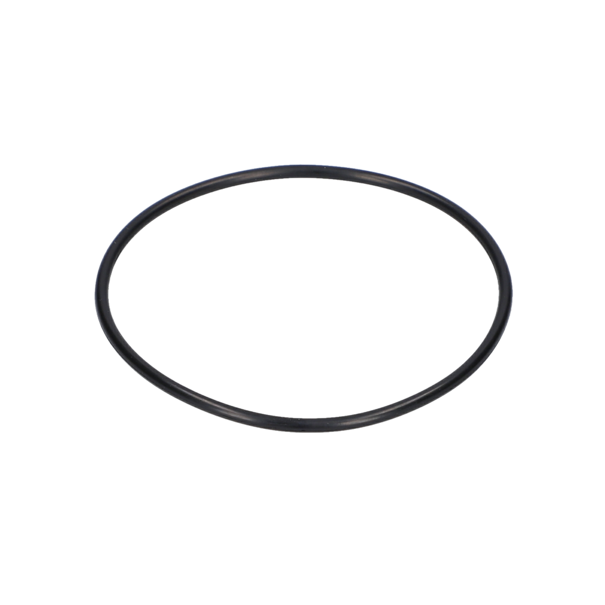 O Ring (O-Ring) (1900210166)