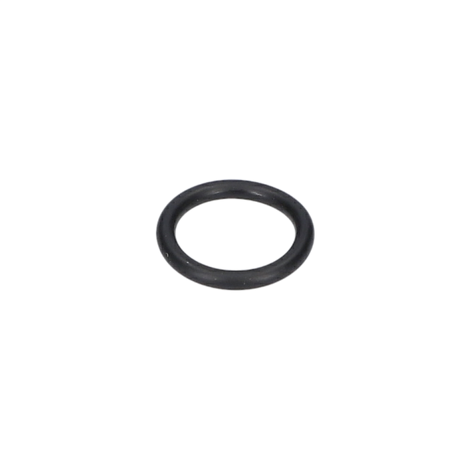 O Ring (O-Ring) (F016L72181)