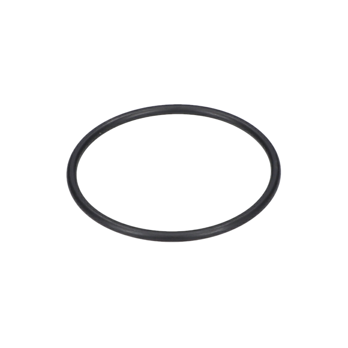 O Ring (O-Ring) (1600210004)