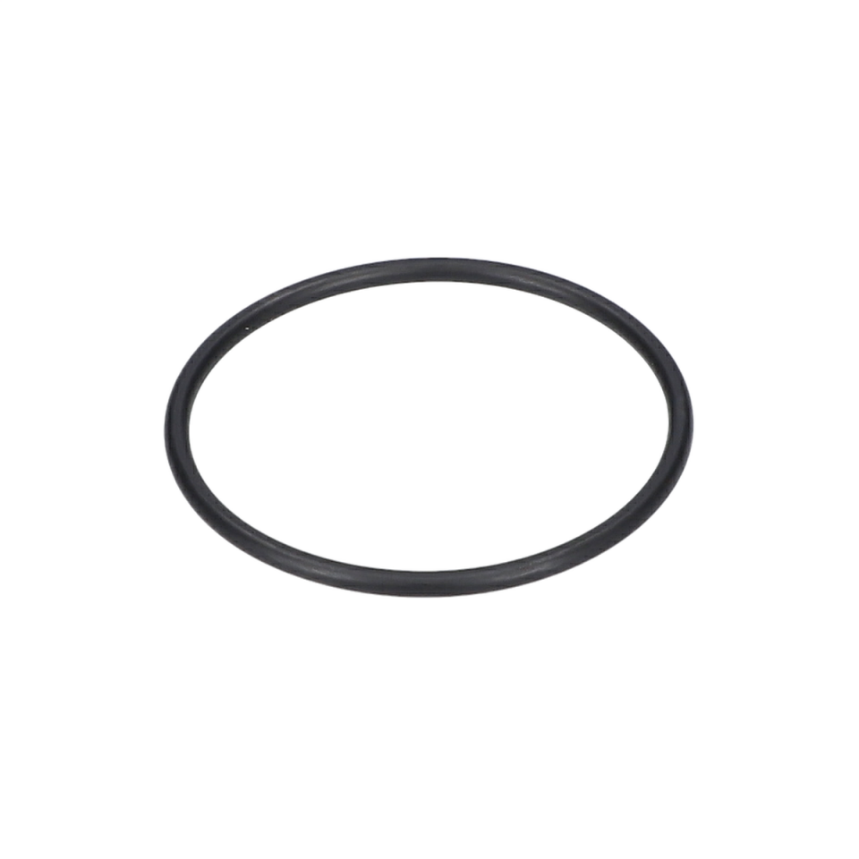 O Ring (O-Ring) (1600210004)
