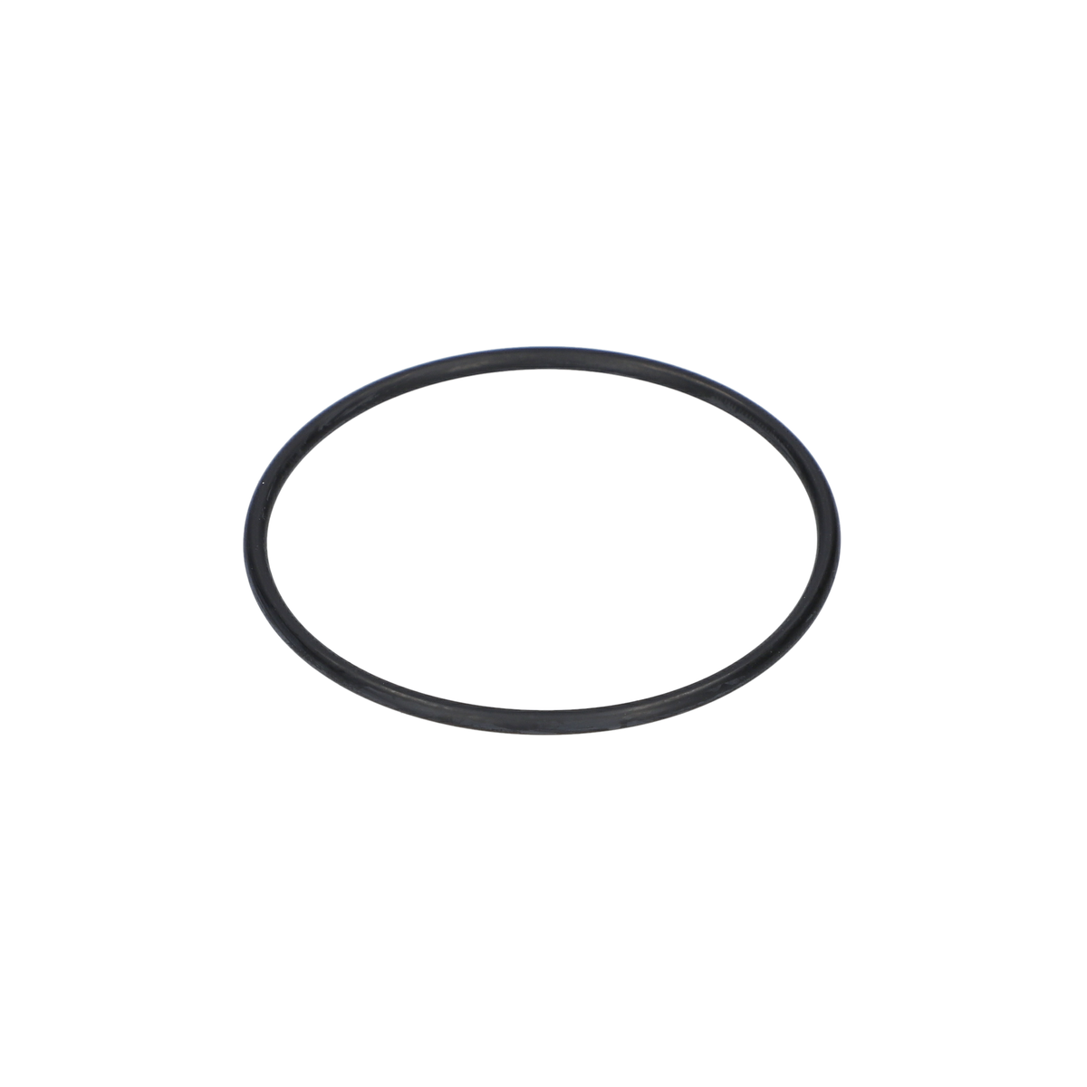O Ring (O-Ring) (1600210005)