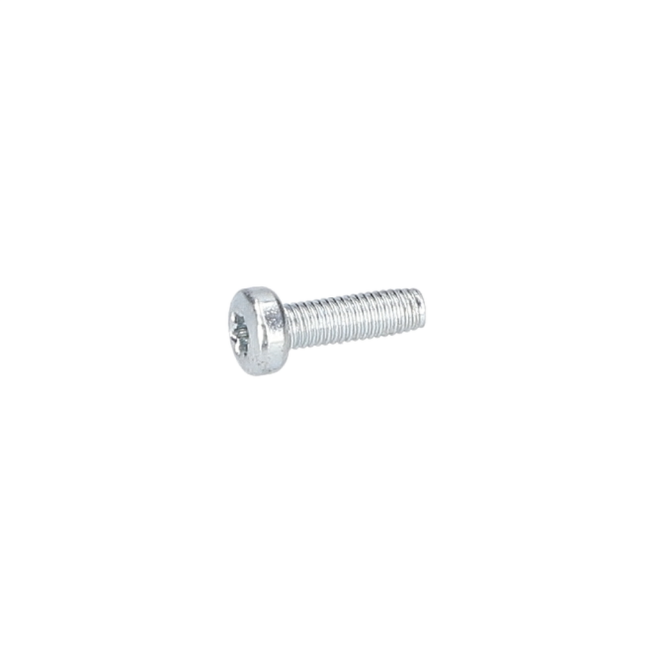 Torx Mercimek Başli Vida (Torx Oval-Head Screw) (2603435096)