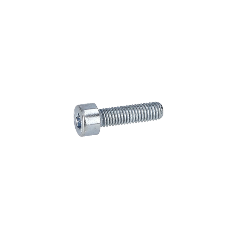 Alen Vida (Hex Socket Head Cap Screw) (2910141160)
