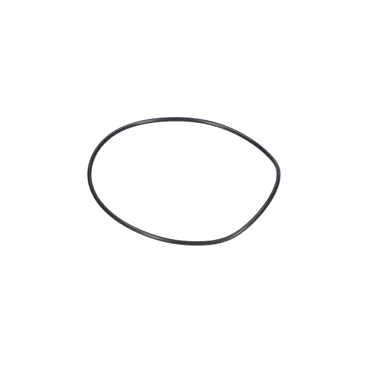 O Ring (O-Ring) (1600210035)