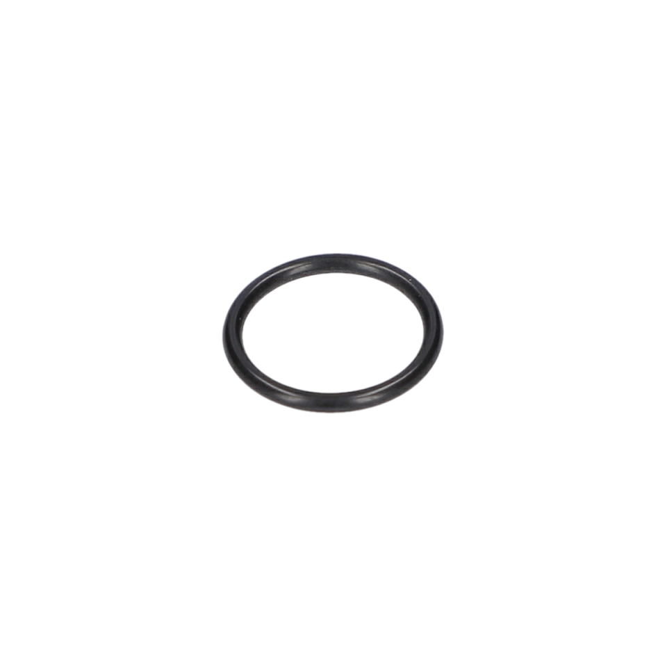 O Ring (O-Ring) (1600210036)