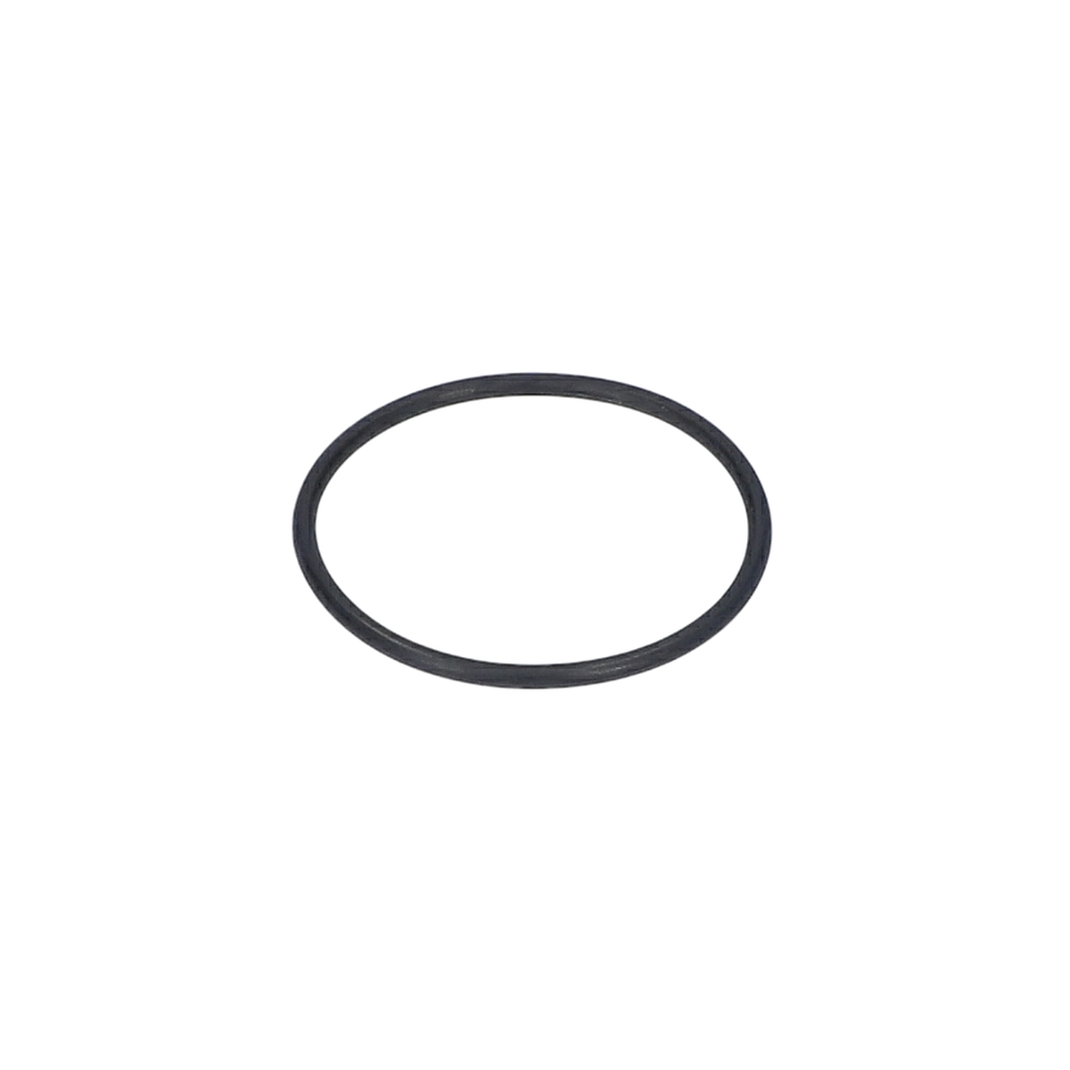 O Ring (O-Ring) (1600210037)