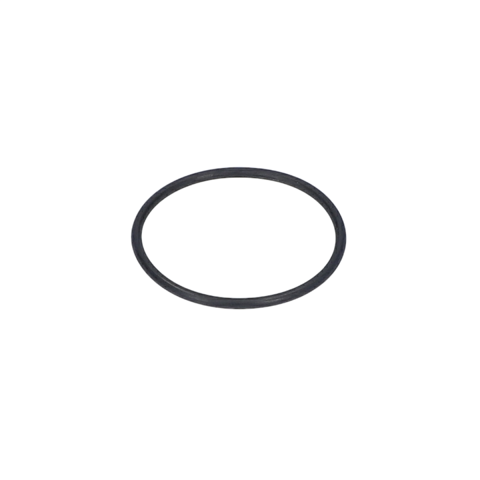 O Ring (O-Ring) (1600210037)