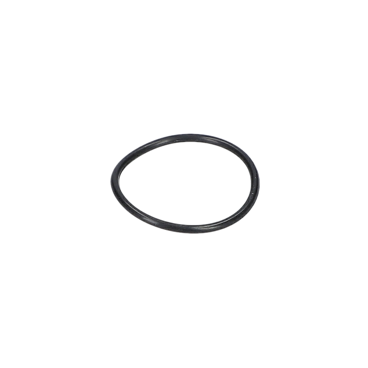 O Ring (O-Ring) (2610009981)