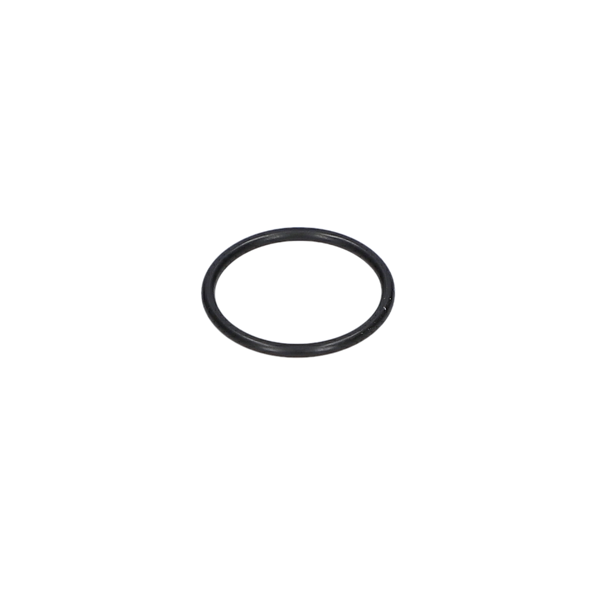 O Ring (O-Ring) (1600210039)