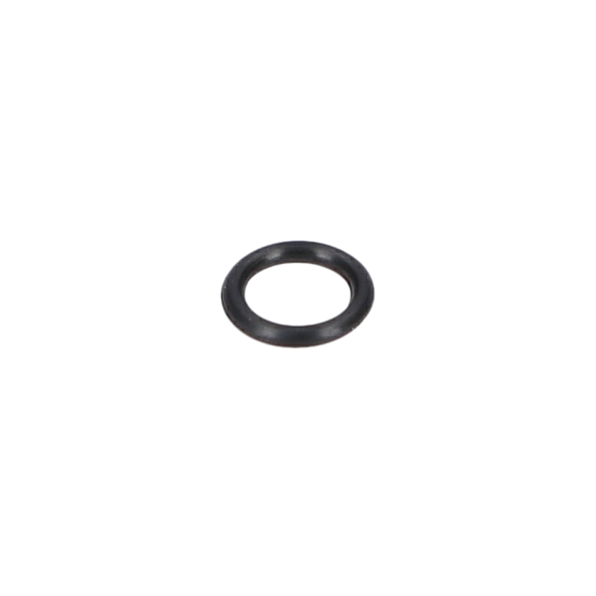O Ring (O-Ring) (1600210044)