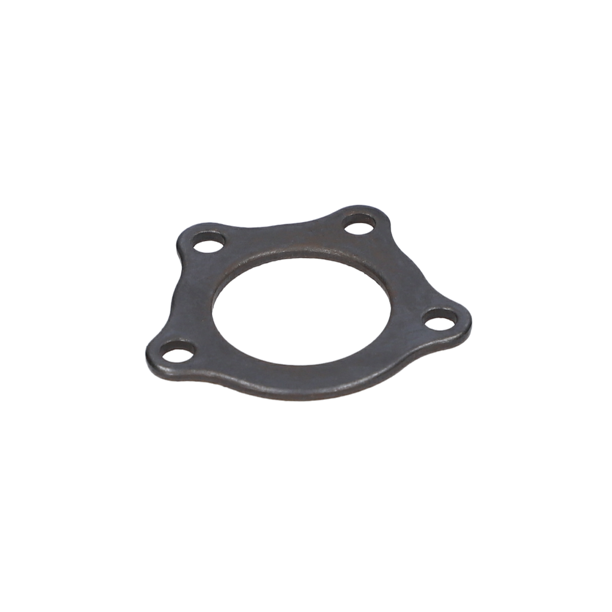 Tutma Saci (Retaining Plate) (2610009987)