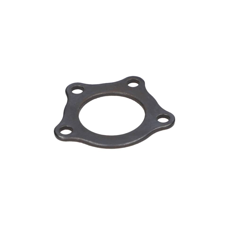 Tutma Saci (Retaining Plate) (2610009987)