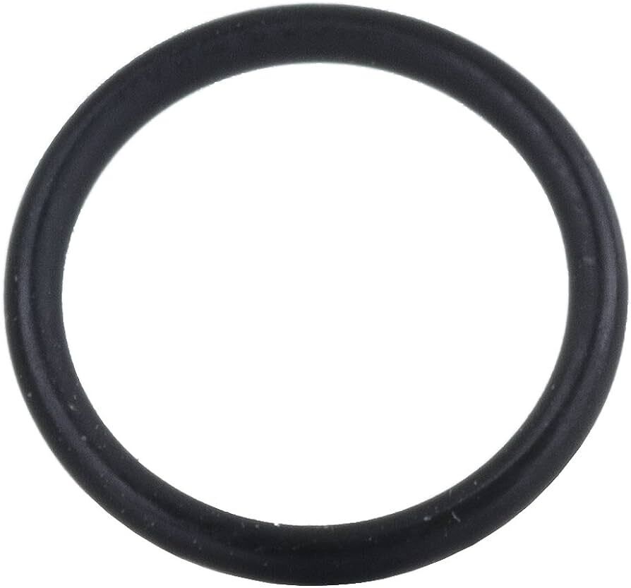 O Ring (O-Ring) (1600210045)