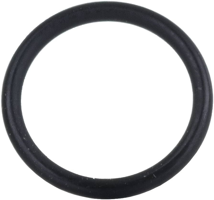 O Ring (O-Ring) (1600210045)