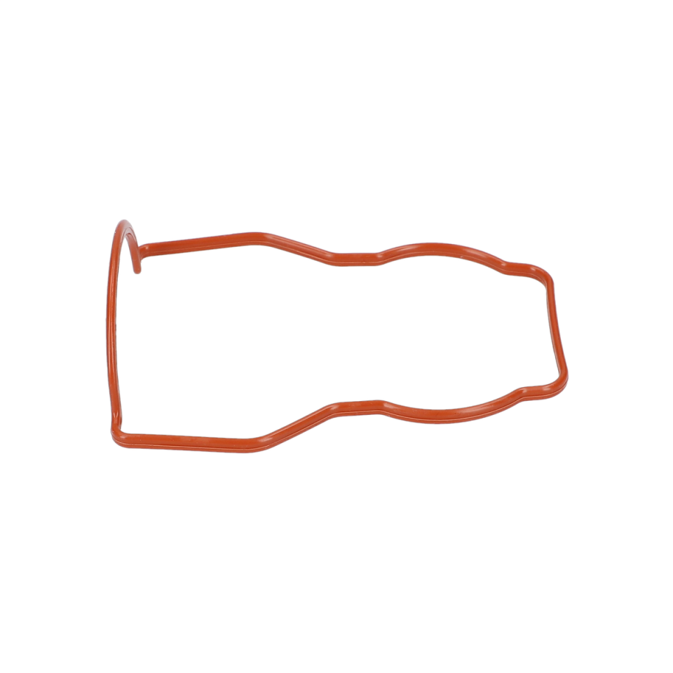 Sizdirmazlik Contasi (Sealing Frame) (1611015058)