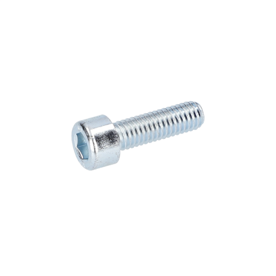 Alen Vida (Hex Socket Head Cap Screw) (2910141201)