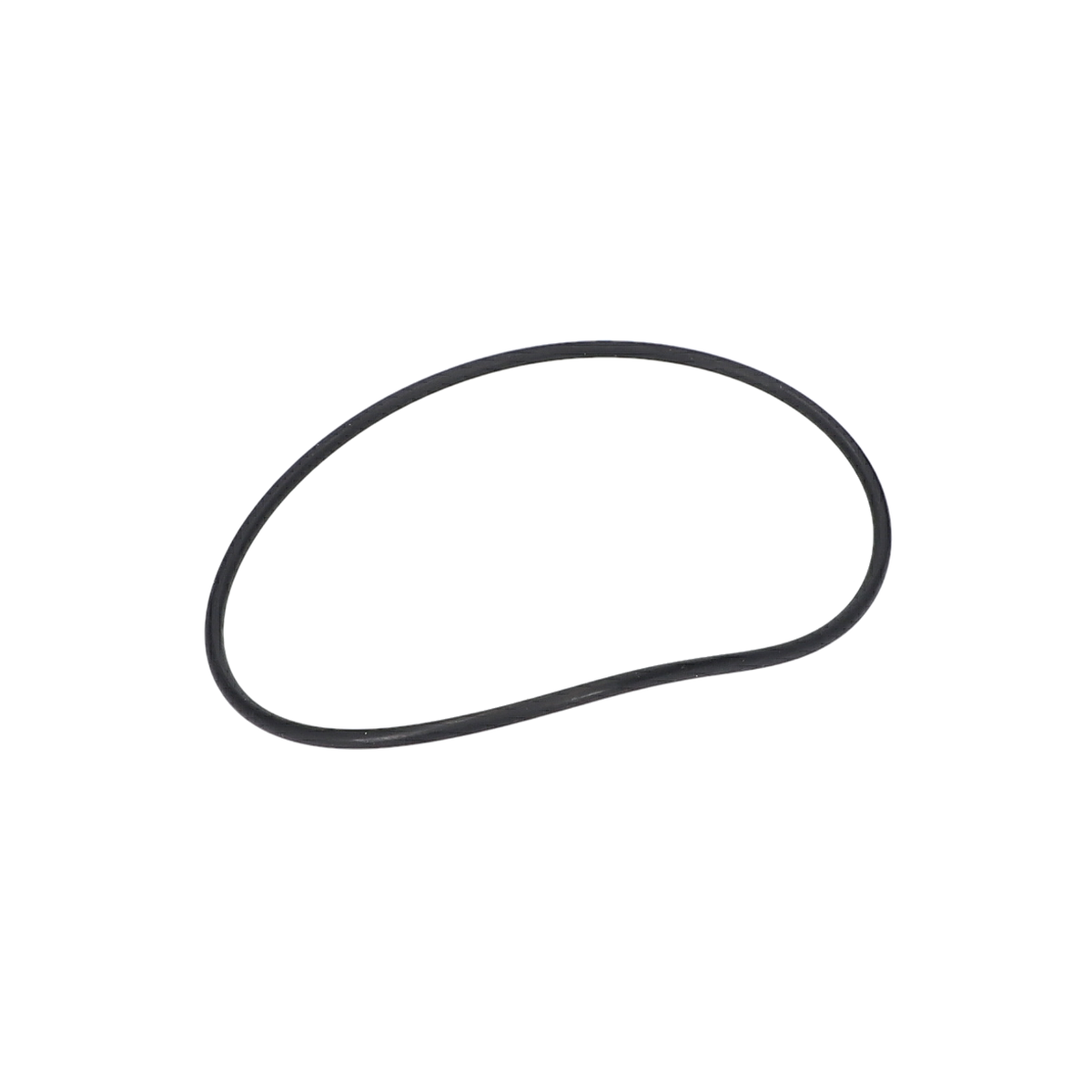 O Ring (O-Ring) (160021005A)