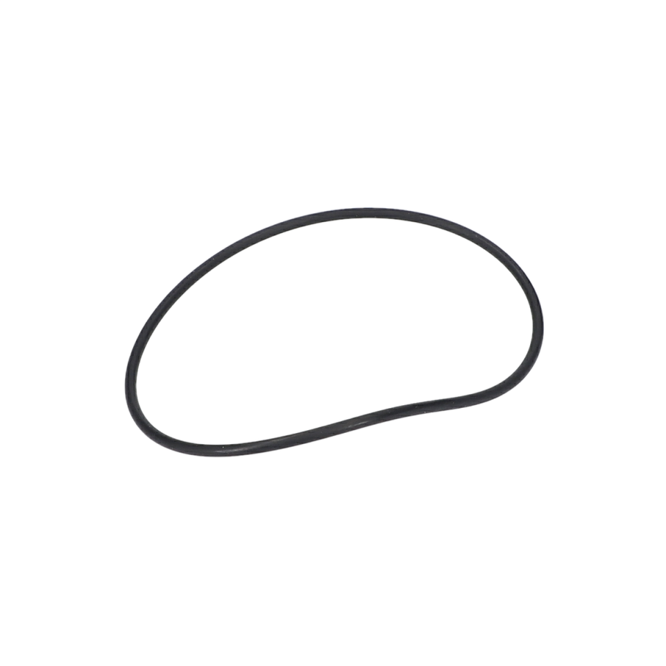 O Ring (O-Ring) (160021005A)