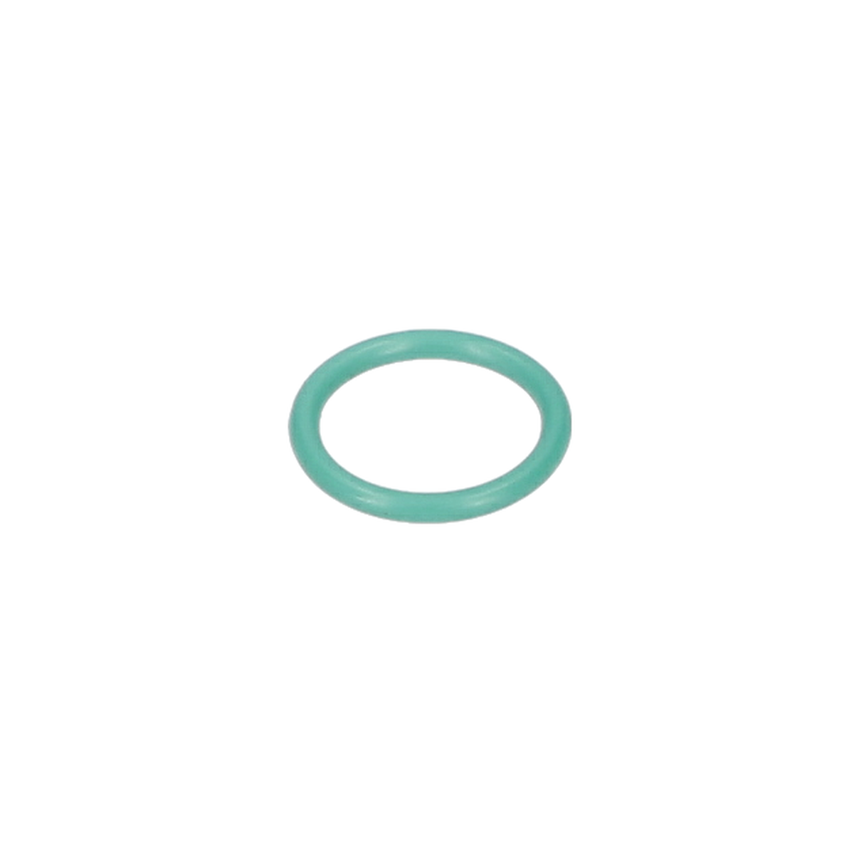 O Ring (O-Ring) (160021005B)