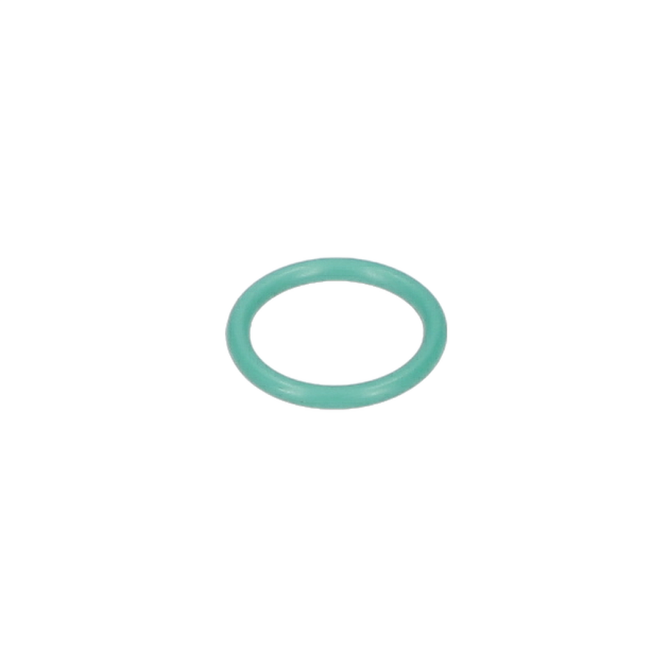 O Ring (O-Ring) (160021005B)