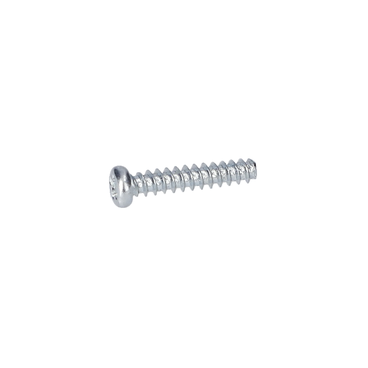 Silindir Vida (Thread-Forming Tap. Screw) (2610010013)