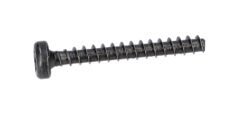 Torx Mercimek Başli Vida (Torx Oval-Head Screw) (2603490025)