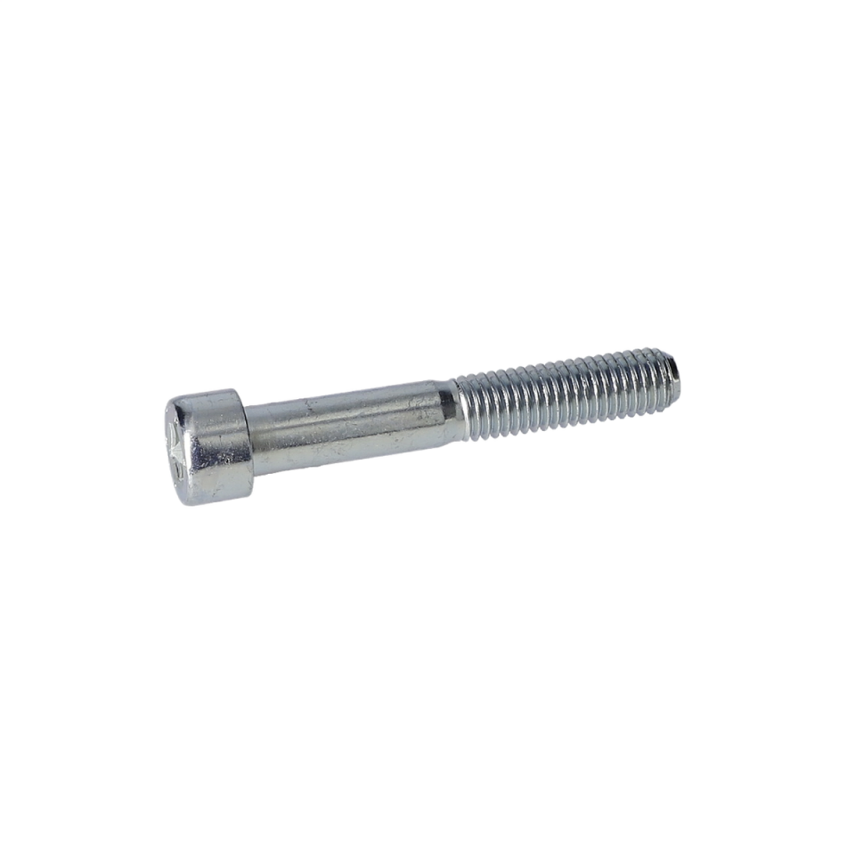 Vida (Screw) (F016L72225)