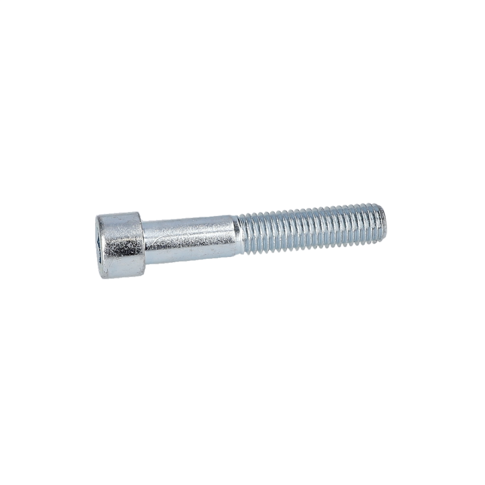 Alen Vida (Hex Socket Head Cap Screw) (2910141356)