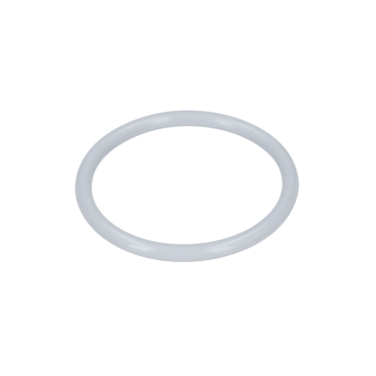 O Ring (O-Ring) (160021007U)