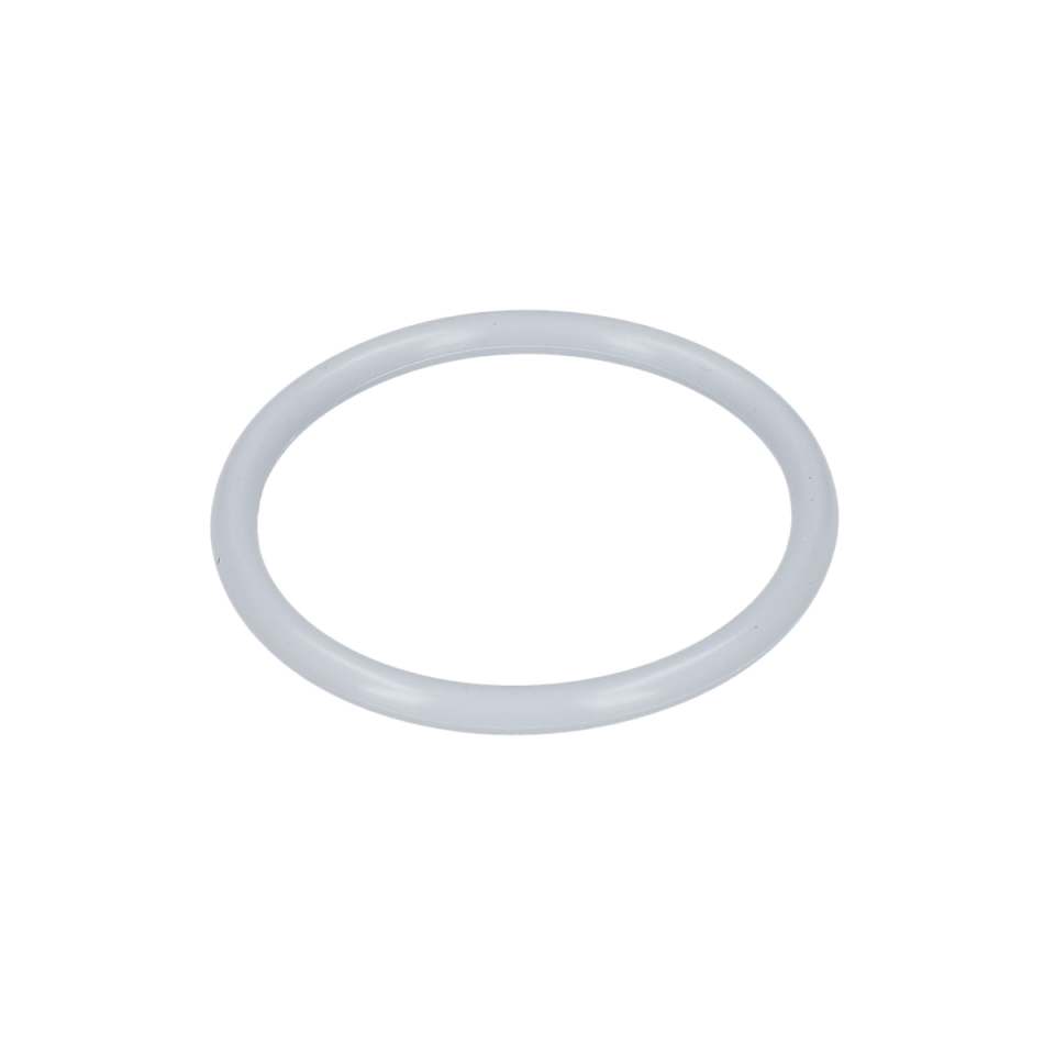 O Ring (O-Ring) (160021007U)