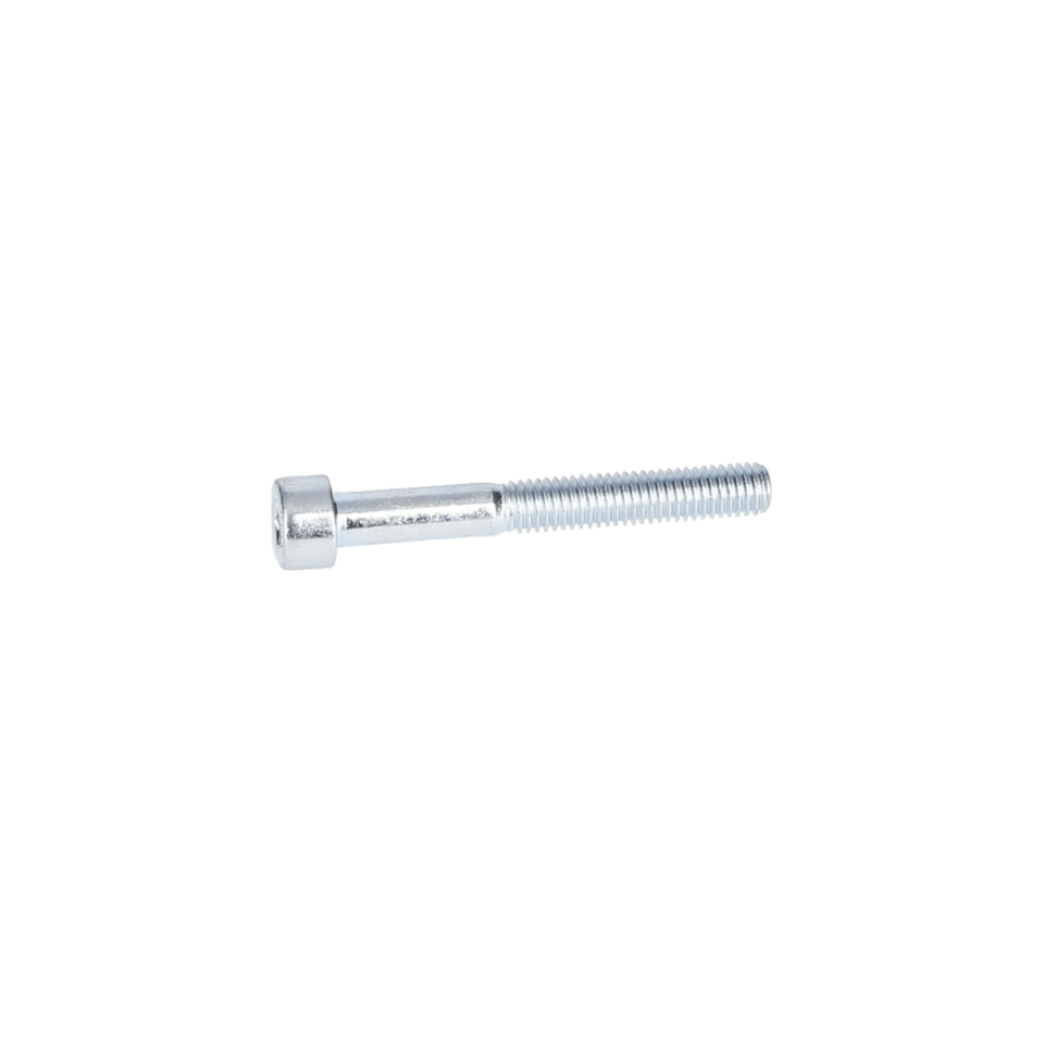 Alen Vida (Hex Socket Head Cap Screw) (2910151170)