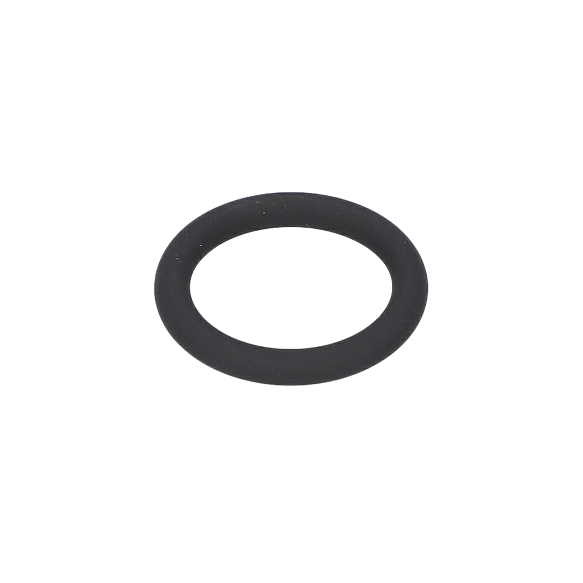 O Ring (O-Ring) (1600210096)