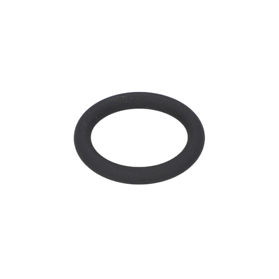O Ring (O-Ring) (1600210096)